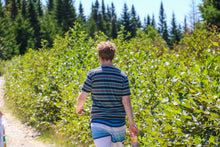 Wallace Falls Hike (New Brunswick 2019)