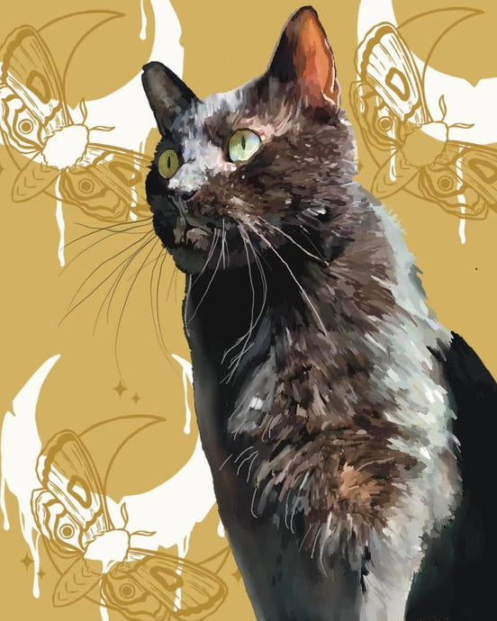 Cat Portraits