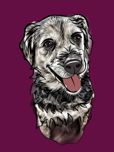 Custom Pet Portraits