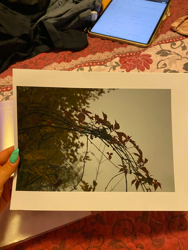 Branch misprint