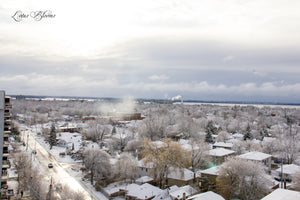 Winter Daze -- 12/2019