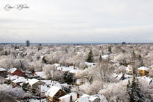 Winter Daze -- 12/2019