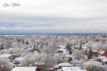 Winter Daze -- 12/2019