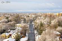 Winter Daze -- 12/2019