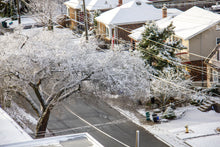 Winter Daze -- 12/2019