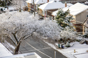 Winter Daze -- 12/2019
