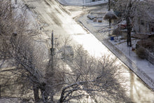 Winter Daze -- 12/2019