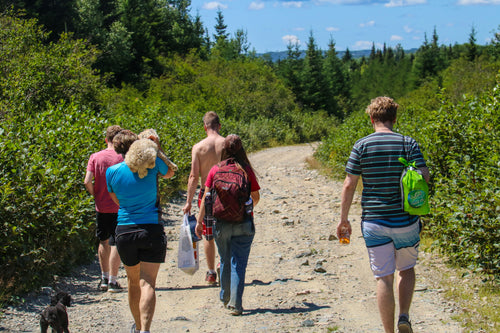 Wallace Falls Hike (New Brunswick 2019)
