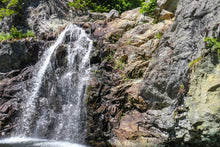 Wallace Falls Hike (New Brunswick 2019)