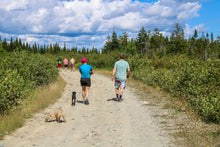 Wallace Falls Hike (New Brunswick 2019)