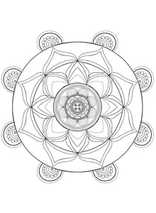 Lotus Blooms Colouring Pages