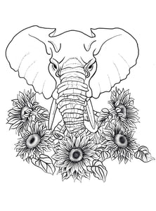 Lotus Blooms Colouring Pages