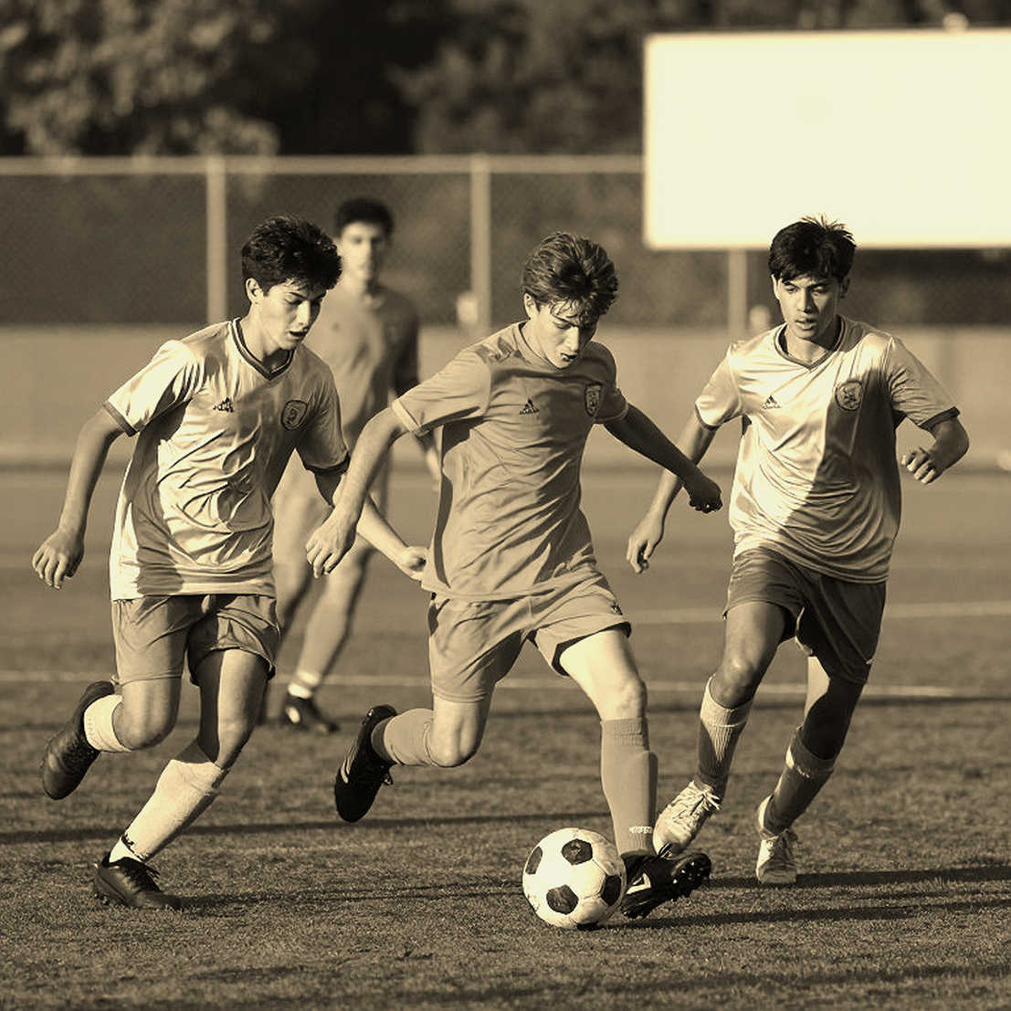 Bóng đá Việt Nam và bài toán dữ liệu: V.League cần minh bạch trước khi vươn ra châu lục