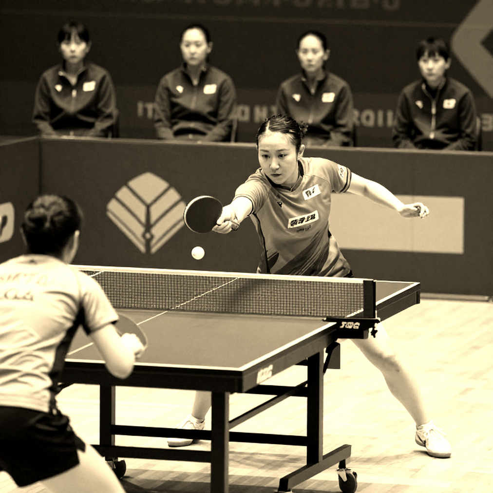 Jarvis và Hursey nhận lá thăm khó tại WTT Champions Macao; Hursey đánh đôi cùng Shi Xunyao ở China Smash