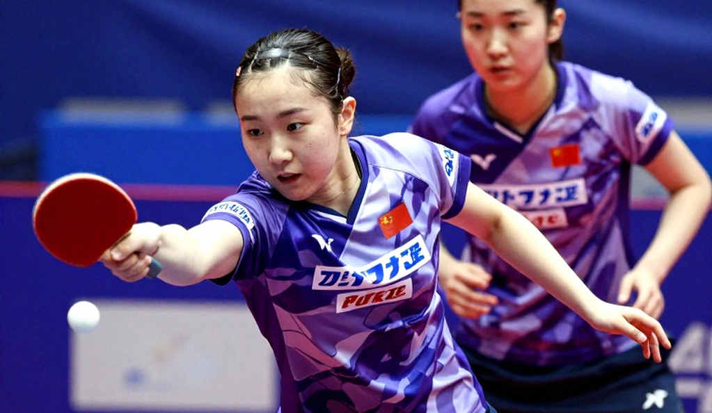 Bóng bàn và hồ sơ phân tích rỗng: Khi dữ liệu không đủ để đưa ra bất kỳ kết luận chuyên môn nào